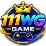 111WG Game